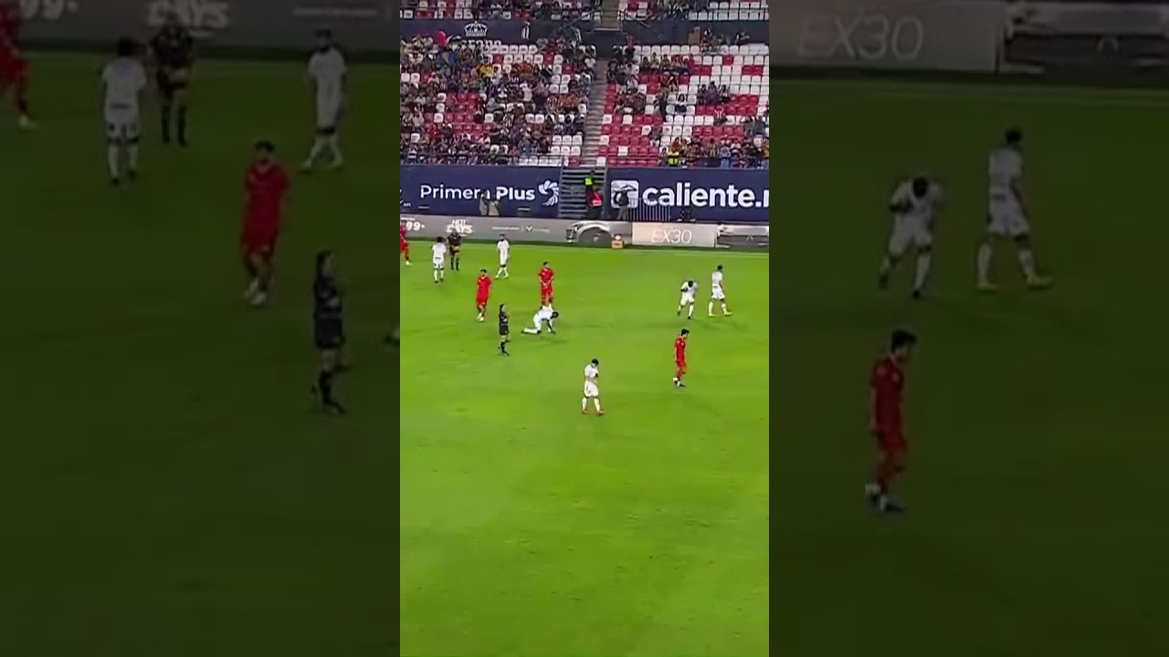 MINI RESUMEN: Atlético de San Luis vs. Necaxa #shorts