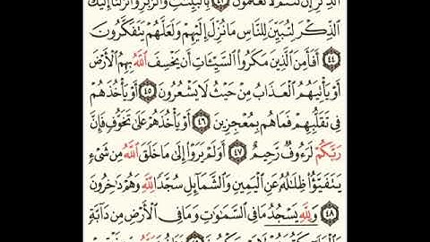 تجويد وقراءة الصفحة 272 من سورة النحل
