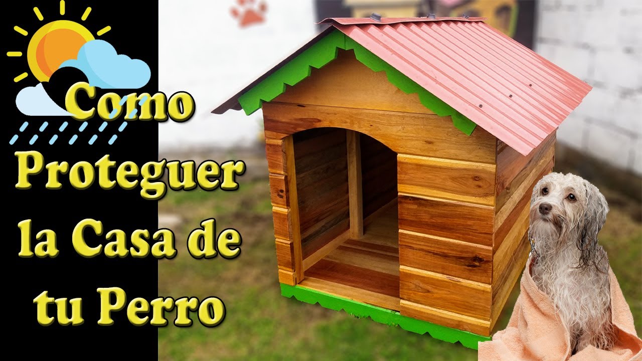 expedido Microprocesador Extranjero Como proteger la casa de tu Perro de la lluvia - YouTube