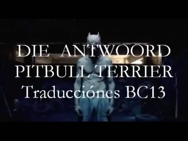 DIE ANTWOORD PITBULL TERRIER