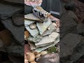 Salamander enclosure pond setup is done!