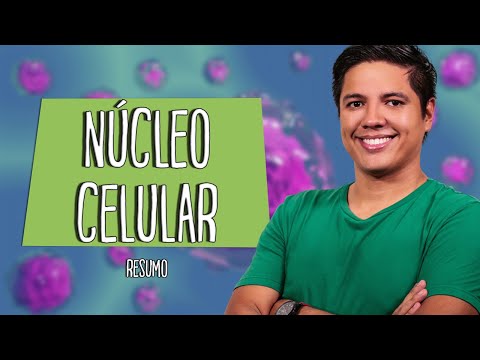 Vídeo: Qual é a estrutura de um núcleo em uma célula animal?
