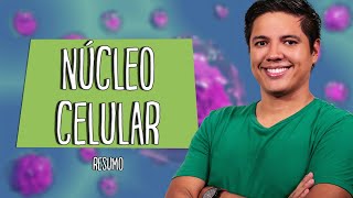 Pró anti apoptóticos e genes