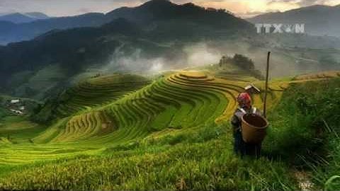 Ruộng bậc thang Mù Cang Chải lọt toi ảnh đẹp thế giới