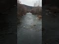 Река Базаиха #2025 #рекомендации #релакс #медитация #relaxing #meditation #красноярск