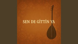 Sen De Gittin Ya Resimi
