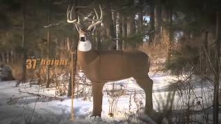 If you're going to hunt big bucks, practice on a big buck!