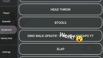 Arceus x Tutorial How To Put Script In Script Hub