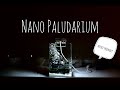 My Nano Paludarium 300ml Tank With Waterfall - Step by step tutorial