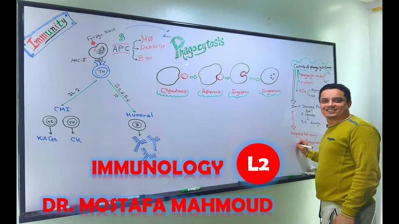 02 Immunity General 2 1