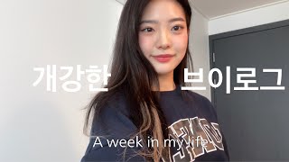 VLOG|개강이라구🍂|비대면수업|공대생|둘이서하는개강총회|가을옷🧚🏻|그릭요거트만들기