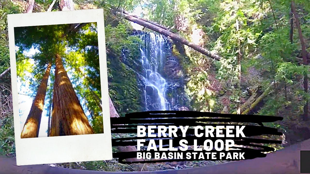 Berry Creek Falls Loop Hike YouTube