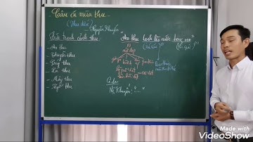 Câu cá mùa thu - Nguyễn Khuyến (P. 1) - Thầy Hồ Hoài Khanh