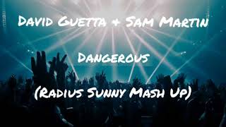 David Guetta & Sam Martin - Dangerous (Radius Sunny Mash Up)