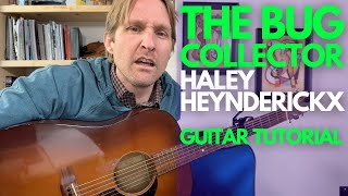 The Bug Collector Guitar Tutorial Haley Heynderickx - Guitar Lessons with Stuart!