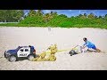 Полицейский Сеня и Папа играют на Пляже и спасают Машинку из Песка!