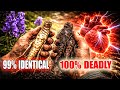 Grows in Your Garden, Looks Like Food: The Plant That Killed an Actor
