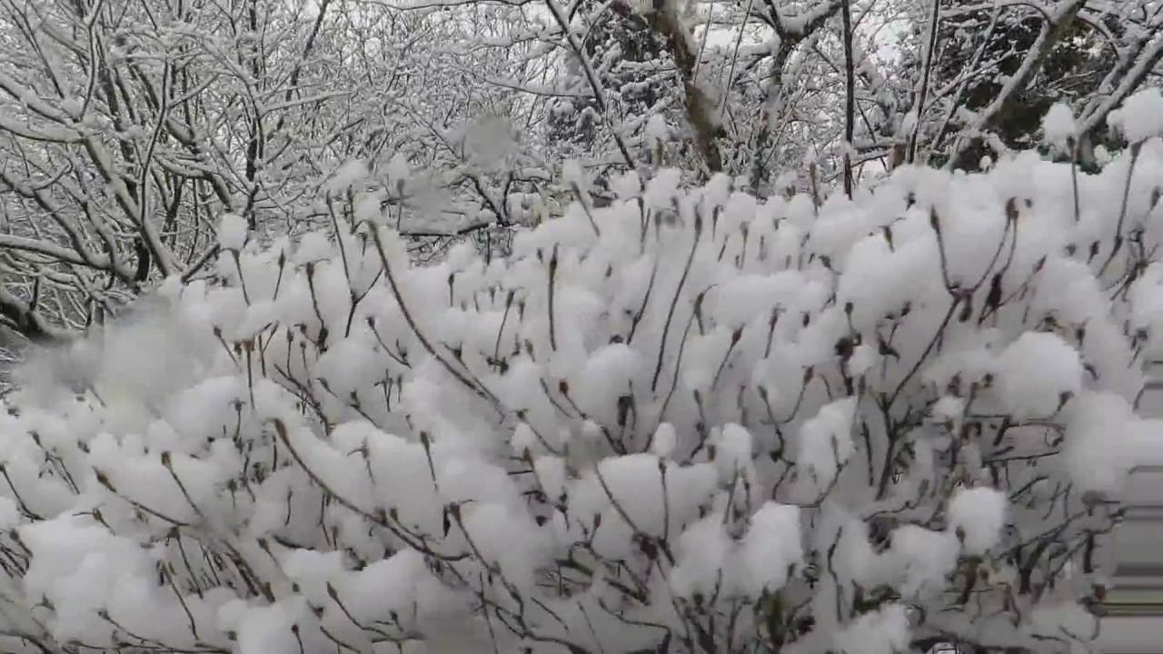 도봉산 설경 Dobong Mountain Snow 道峰山 雪 道峰マウンテン雪景色 Youtube