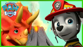 Pups Rescue Dinosaurs from Hot Volcano Lava and more! | PAW Patrol | Cartoons for Kids Compilation