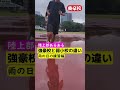 雨の日の練習編 陸上部あるある強豪校と弱小校の違い #shorts