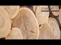 Stalgen oak floor boards and parquet production