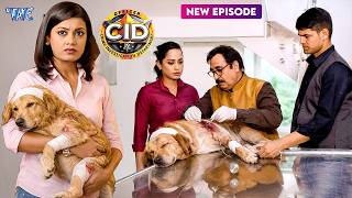 श्रेया एक डॉगी को लेकर पहुंची डॉ. Salunke के पास | CID में बड़ा खुलासा | Cid Latest Episode 2026