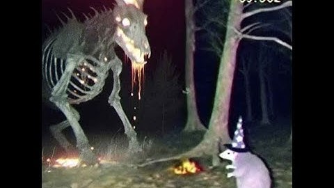 level 11 - Dweeb hours and accursed yapper