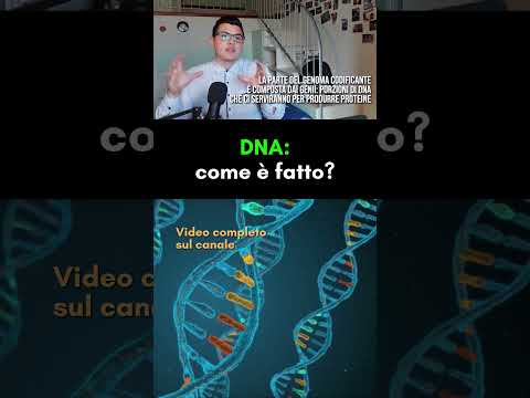 DNA: ecco come