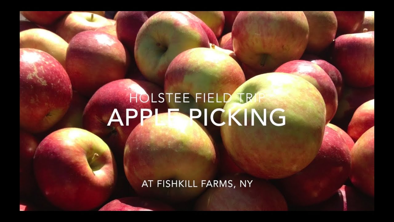 Holstee Team Field Trip: Apple Picking at Fishkill Farms