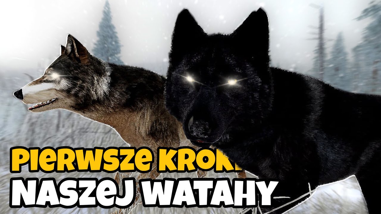 PRZYGOTOWANIA NA SZCZENIAKI *WolfQuest* #1 