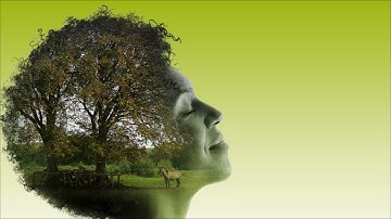 André Rieu & His Johann Strauss Orchestra  Love Story