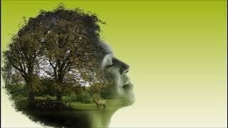 André Rieu & His Johann Strauss Orchestra  Love Story