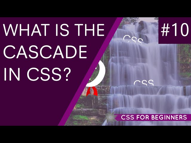 CSS Tutorial For Beginners 10 - CSS Conflicts & the Cascade