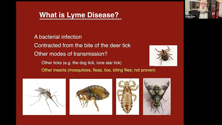 Lyme and Other Tick-Borne Diseases: The Basics