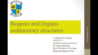 Biogenic and Organo Sedimentary Structures  by Amid M.A. Massri