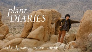 Plant Diaries | calm weekend getaway, nature, friends