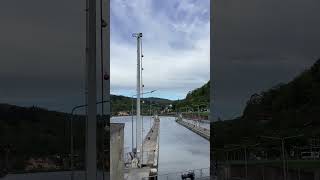 IMG 0486