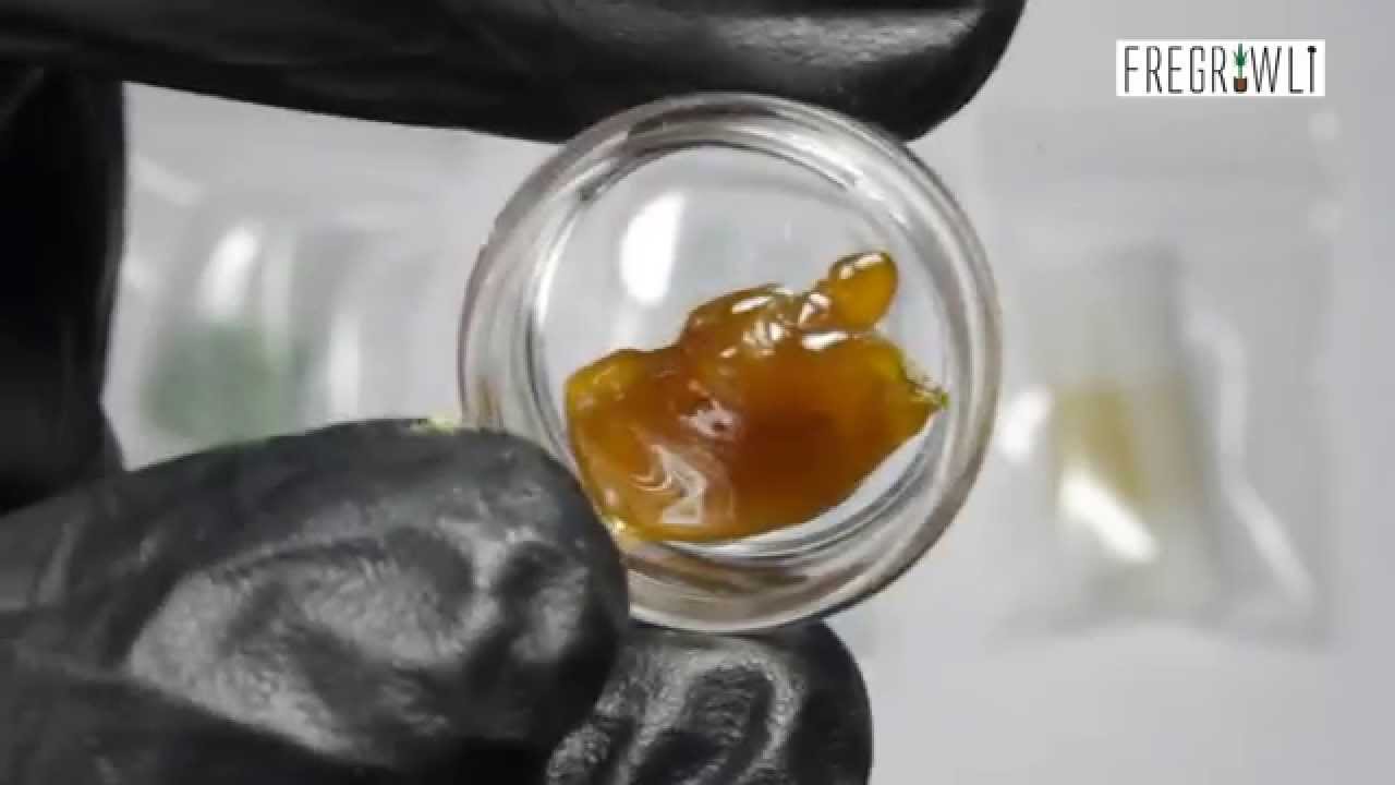 Strain Review - DNA Genetics Silver Kush (Reserva Privada line)