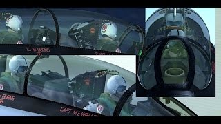 FSX Aerosoft F-14 X - how to change pilot face - tutorial -