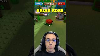 Briar Rose In Roblox Grow A Garden
