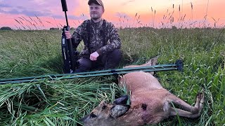 Pirschjagd im Frühjahr auf Rehwild - Jagdkrone