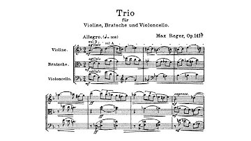 Max Reger - String Trio No. 2 in D Minor, Op. 141b