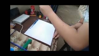 1st Monthly Performance Task