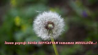 İnsan Yaptığı Bütün Seyyi̇attan Tamamen Mesuldür…