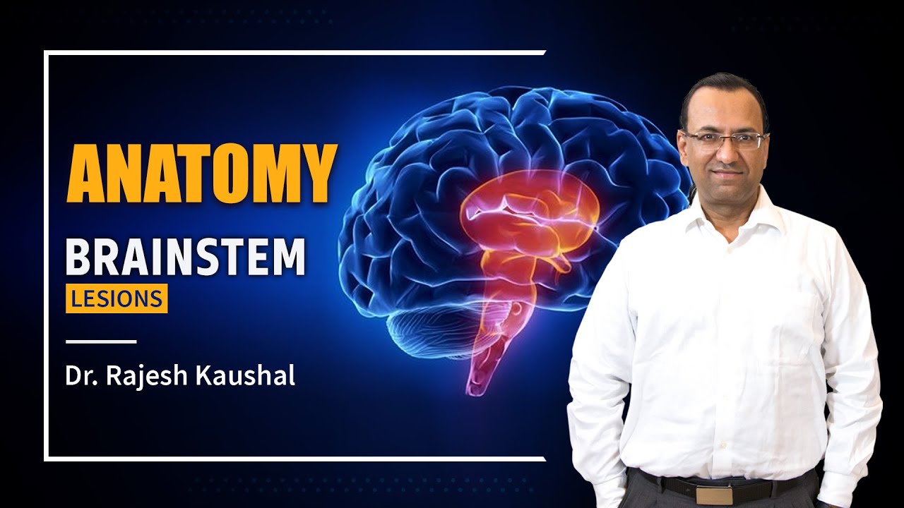 Mid Brain: Transverse Section | Dr. Rajesh Kaushal | PrepLadder NEET PG