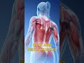 Is Cross-Legged Sitting Harmful? | #sittingposture #spinehealth