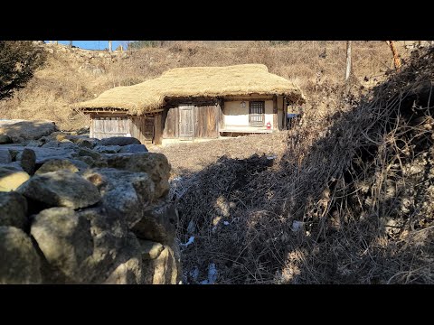 300년 산골 초가집 세월에 너무낡아 일부 손봤다 방안에 불쌍한 참새주검