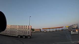 Dodge City Ks, notice all the bull haulers 05-10-2024
