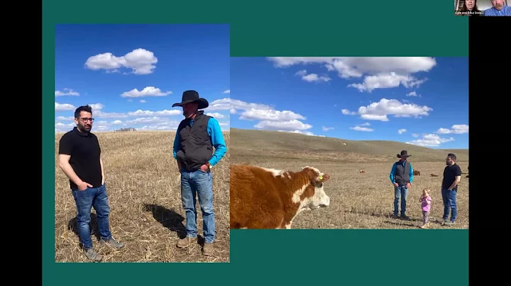 Making the Most of Mentorship - Webinar Recording