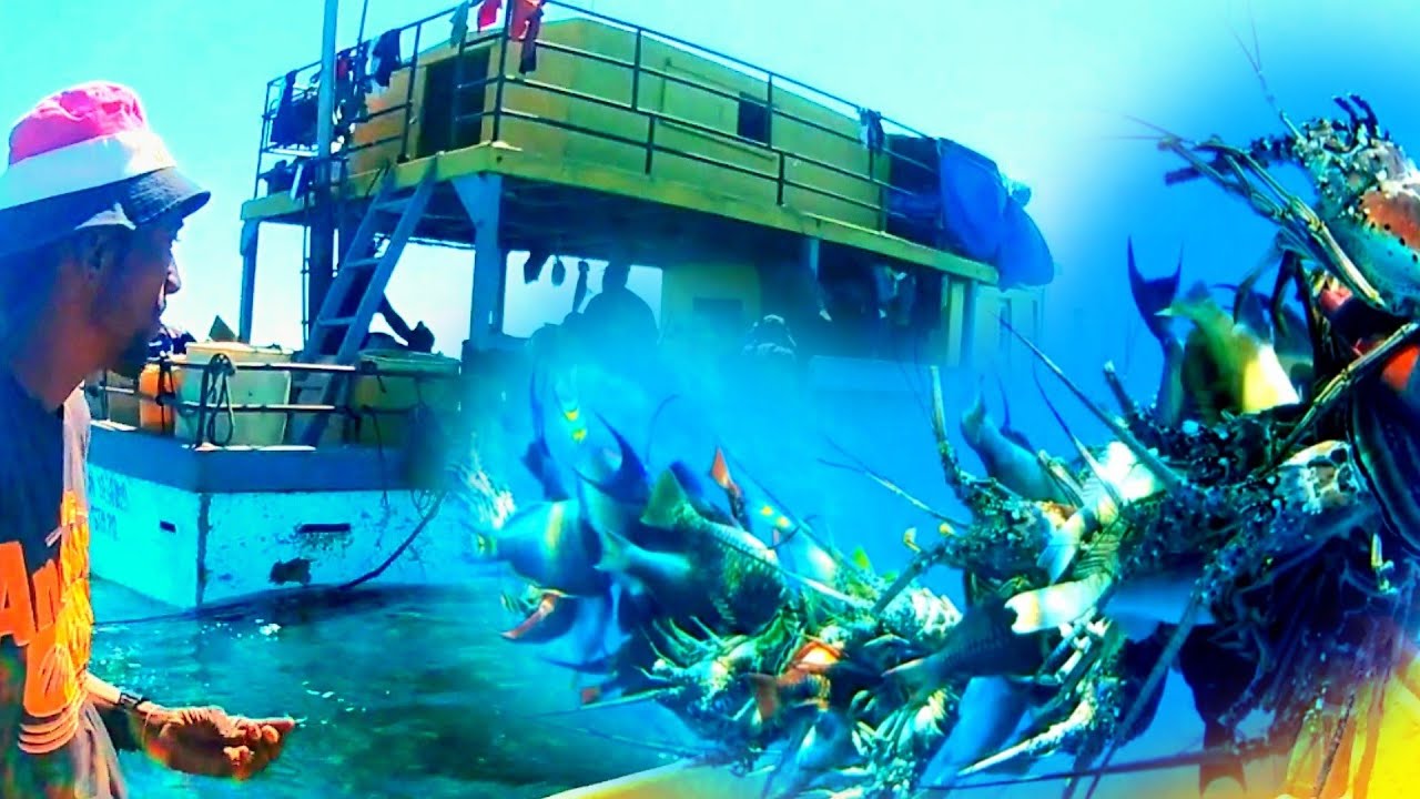 This what a good catch looks like (epic) must watch 